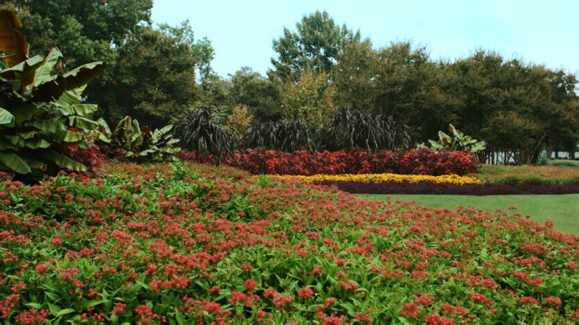 Autumn at the Dallas Arboretum-min